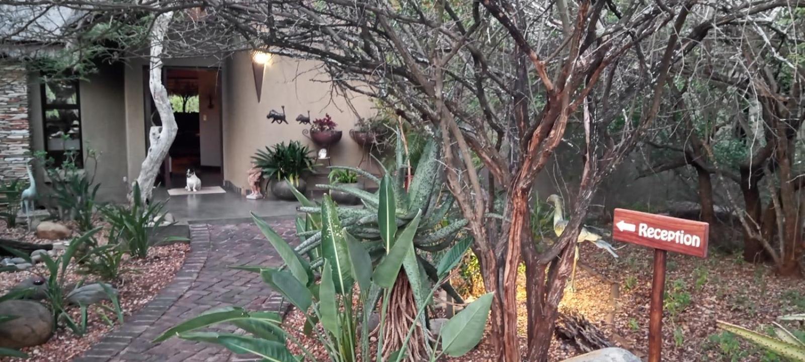 Lodge Call Of The Wild