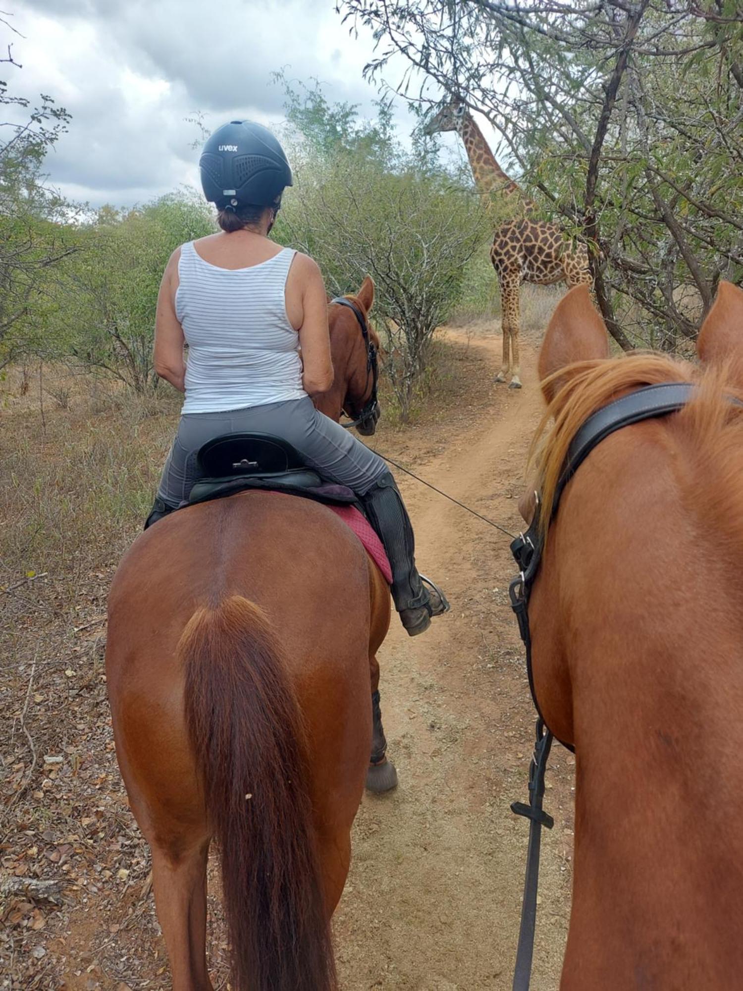 Call Of The Wild Hoedspruit