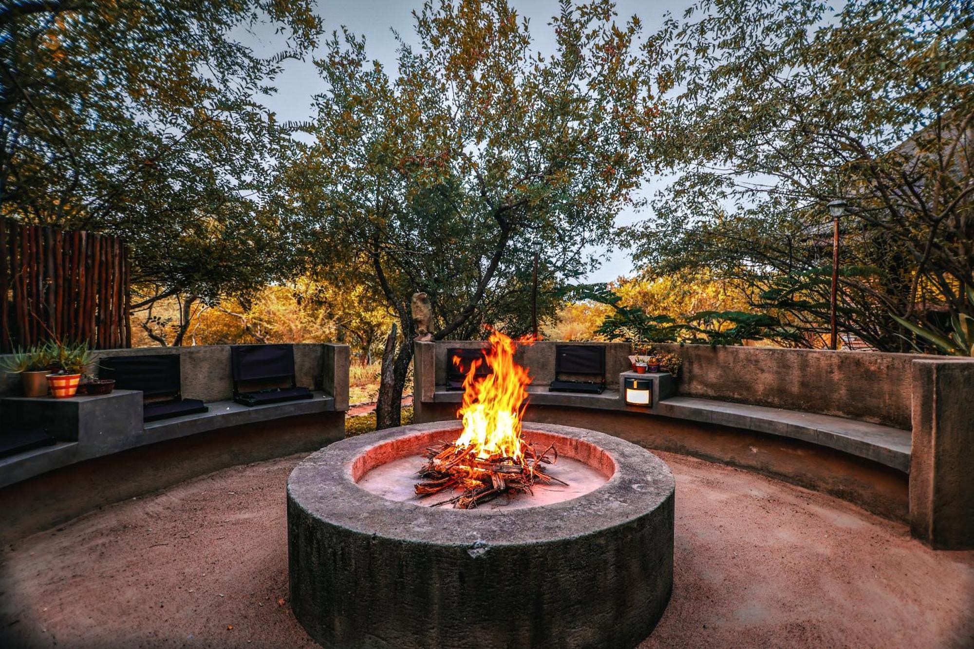 Call Of The Wild Hoedspruit