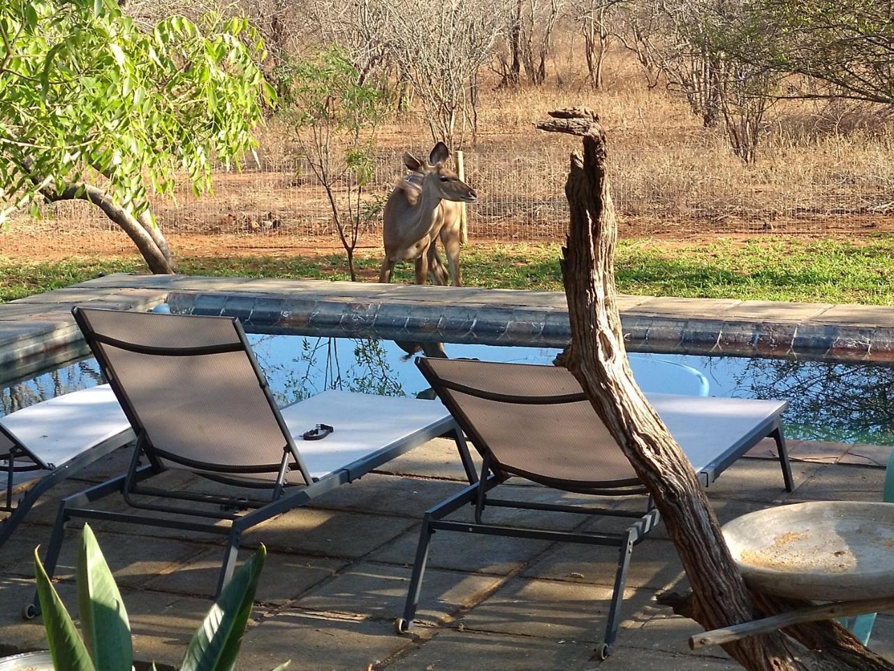 Call Of The Wild Lodge *
