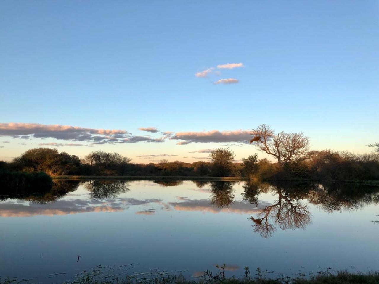 Call Of The Wild Lodge Hoedspruit