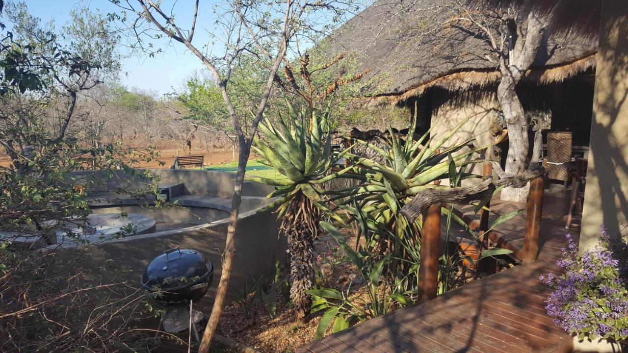 Call Of The Wild Hoedspruit