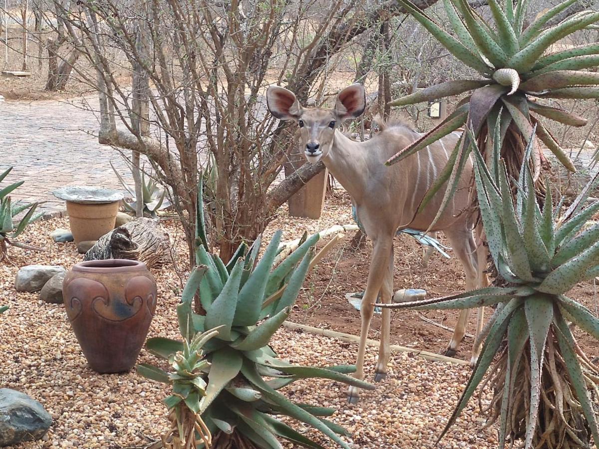 Call Of The Wild Lodge